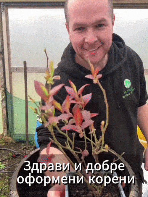 Дюк: Пътеков афинен разсад
