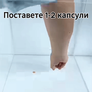 Капан GandaSTOP против хлебарки бърз резултат