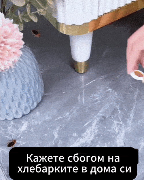 Капан GandaSTOP против хлебарки бърз резултат